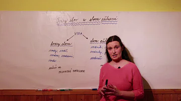 Jaký je latinský druh slovního druhu?