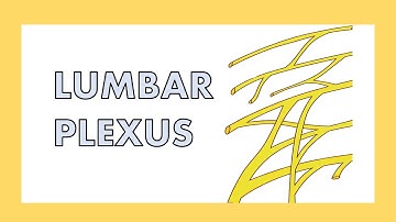 Lumbar plexus review [song]