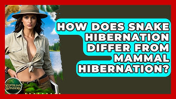 How Does Snake Hibernation Differ From Mammal Hibernation? - Reptilian Wonders