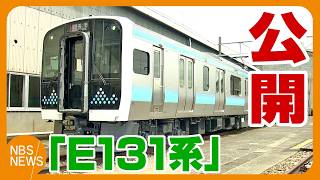 First New Train in 28 Years! JR East Unveils E131 Series with Alpine-Inspired Dot Design, 2cm W...