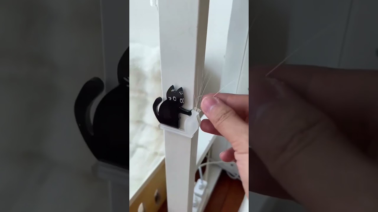 Cat whisker magnet 