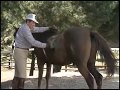 President Reagan Horseback Riding at Rancho Del Cielo on September 3, 1988