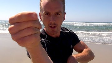Praying Mantis Kung Fu Kata IN THE OCEAN - Amazing - Intermediate!