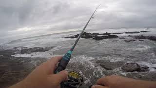 Exploring Fishing Spots at Sheffield Beach along the KZN North coast