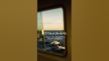 | سورة التحريم |"8" #المصحف #اكسبلور #راحة_نفسية #قرآن #quran