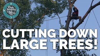 CUTTING DOWN TREES | 80 Foot Tree Removal | Our Journey To Bliss