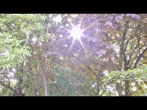 jason-sidwell---if-(4k)