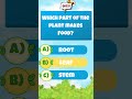 Which Part of a Plant Makes Food? 🌿 | Plant Quiz for Kids | Tiny Wisdom #shorts