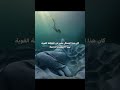 من اعظم ما نحته الانسان اكسبلور لوحات فنية تاريخ    