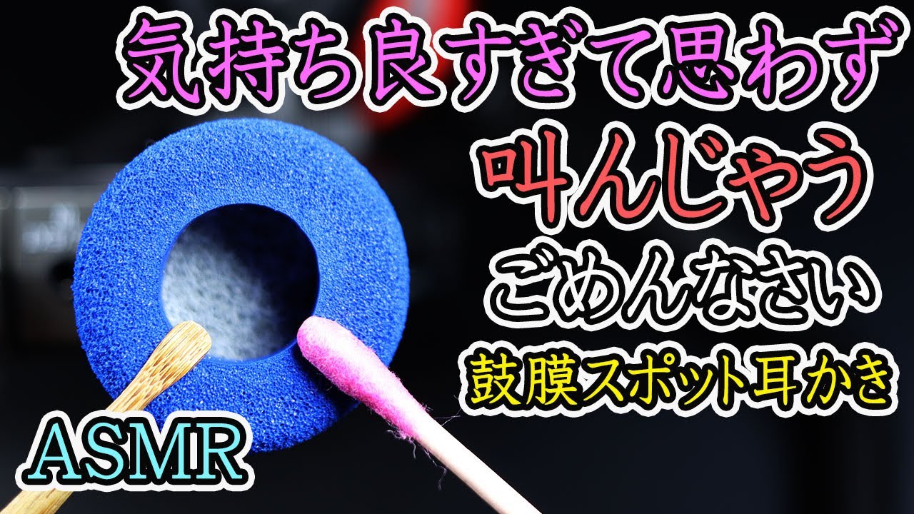 【ASMR】ステンレスたわし鼓膜を綿棒や木、プラスチック、指で耳かき。圧倒的メタルな耳かき音です。睡眠・作業用。寝れるasmr。イヤホンで聞くとすごい。earpick ASMR【優父ASMR】