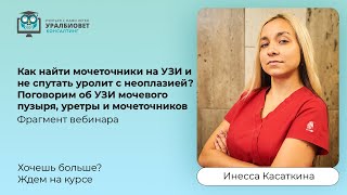 Как найти мочеточники на УЗИ и не спутать уролит с неоплазией? Лектор Инесса Касаткина