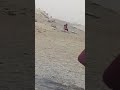 زانق صحبته ف المقطم و مش راحم تحرش