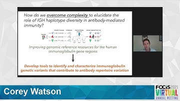 Characterizing germline variation in adaptive immune receptor genes