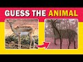 Optical Illusions That Will Trick Your Brain! What Do You See? | Quiz Rad