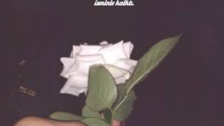 Sen Bana Hayati Adadin Olsun Bu Can Sana Feda