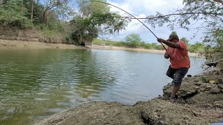 Small Single Hook fishing|Big Tilapia fish &amp; Baam Fishes Catching by Fisherman|Unique fishing