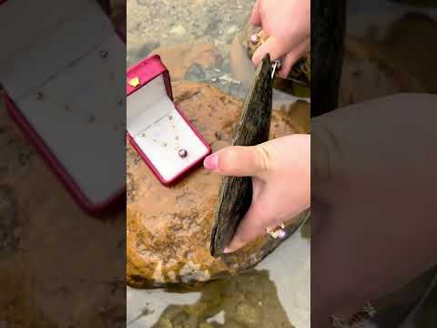 #pearls #oyster #clam