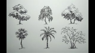How To Draw Trees || Ink Drawing || 2 of 3