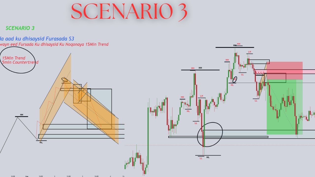 Scenario 3📉🎯