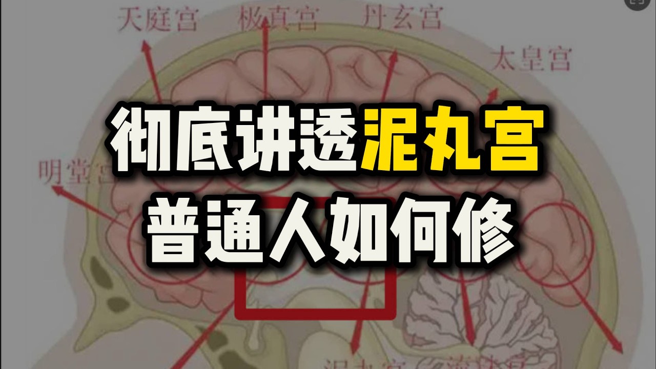 彻底讲透“泥丸宫”是什么？普通人如何“元神出窍”？#泥丸宫#松果体#丹田#站桩#道家 - YouTube