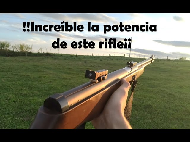 Rifle Aire Comp Sag Resorte Cal 5.5 Mira 4x40 Shilba Balines