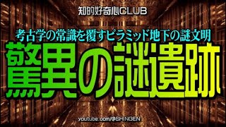 SHINGEN 嘘だらけの世界ゲリラLIVE 20250309