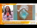 Border Force targeting fake squishy toys | Sunrise