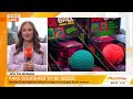 Border Force targeting fake squishy toys | Sunrise
