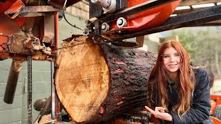 this log barely fit on the sawmill! you won’t believe how many boards we got out of it!