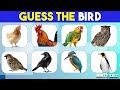 Guess the bird  easy medium hard give it a shot