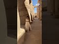 سائحة تركية في زي كليوباترا بمعبد الكرنك ورسالة ساحرة للترويج للأقصر
