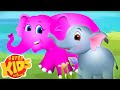 Baby Elephant Song | Nursery Rhymes And Kids Songs | Cartoon Videos from Super Kids Network