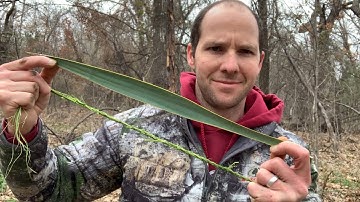 Making Cordage from Yucca