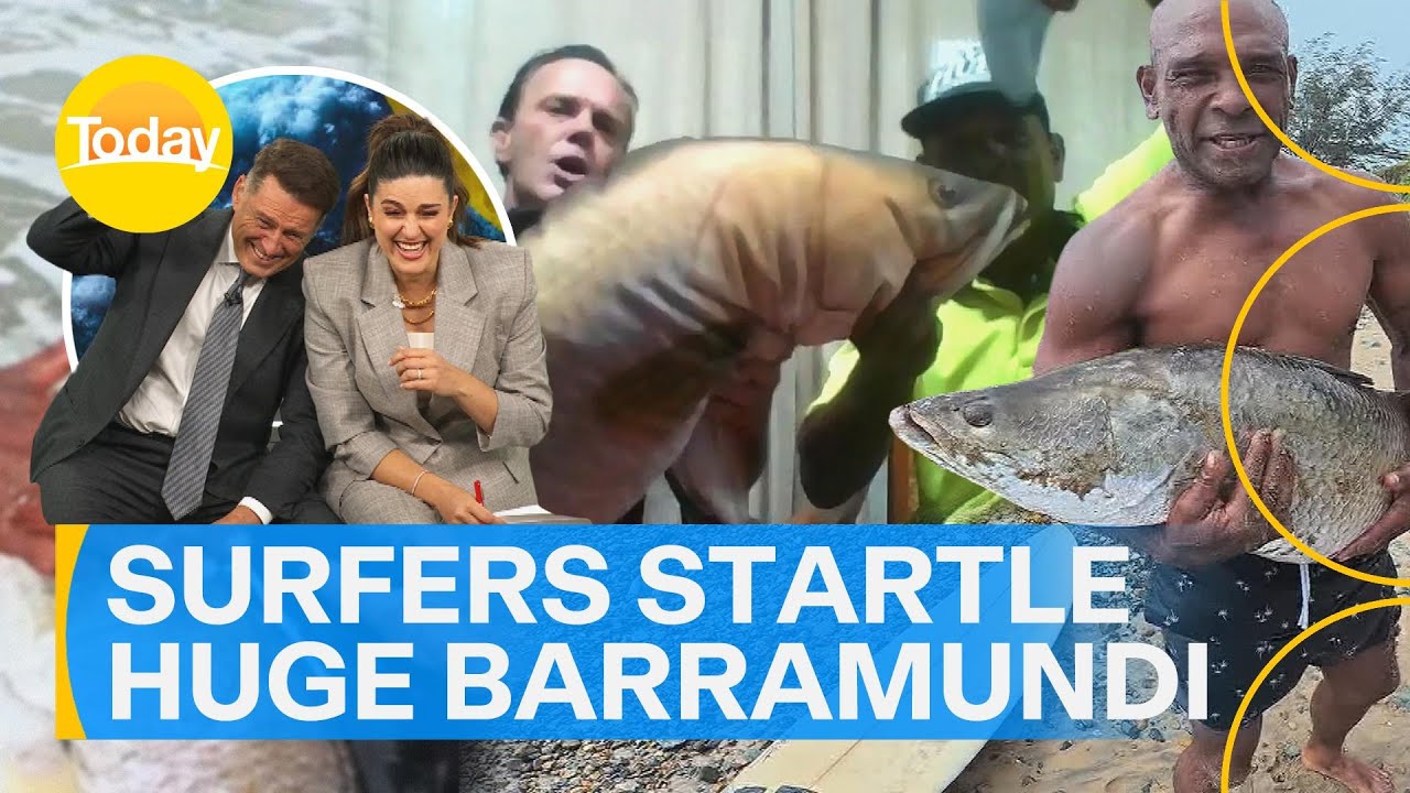 Two surfers crack up Karl and Sarah after wrangling giant barramundi | Today Show Australia