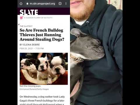 Jace Compton, Pet...