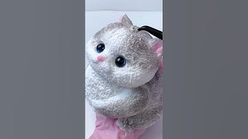 FUFUSQUISHY ASMR Gray Cat