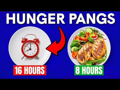 How to Reduce Hunger During 16:8 Intermittent Fasting
