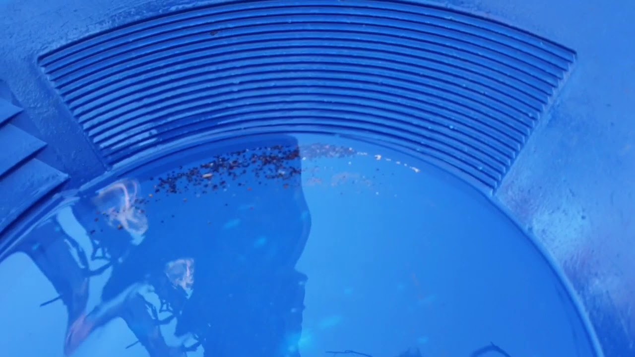 Sailors Creek Daylesford * Вы выкопали это, но не обработали* Эпизод 1 (Часть 1)