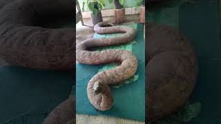 Bohol Python and Wildlife Park