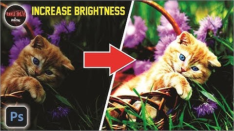 How to INCREASE BRIGHTNESS AND COLOR CONTRAST of a Photo in Photoshop CC, CS6 | Photoshop Tutorial