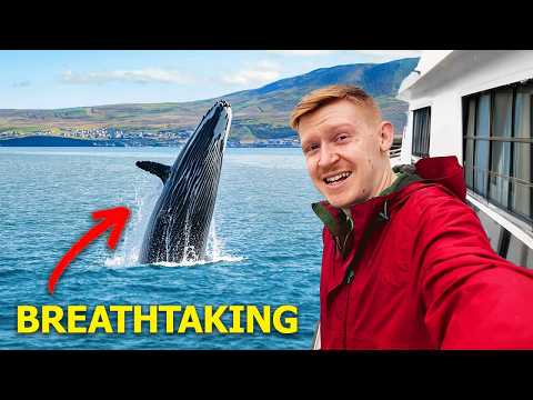 Thumbnail for My Once in a Lifetime Trip to ICELAND