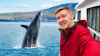I Went Whale Watching in ICELAND