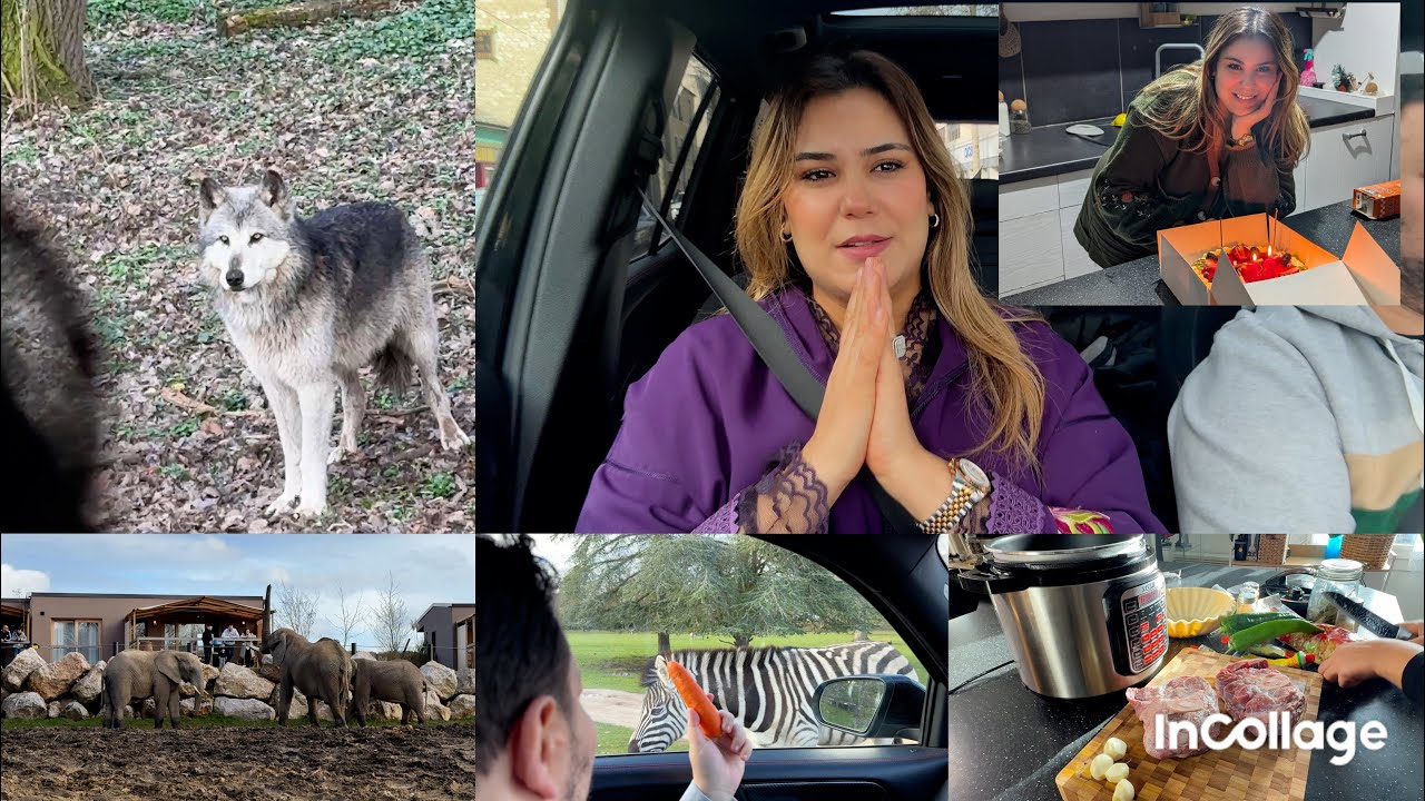 اكفس عيد ميلاد دوزتو 😔هجم علينا ذئب شي واحد صلتوا علينا مشي معقول حسبي الله ونعم وكيل🤲