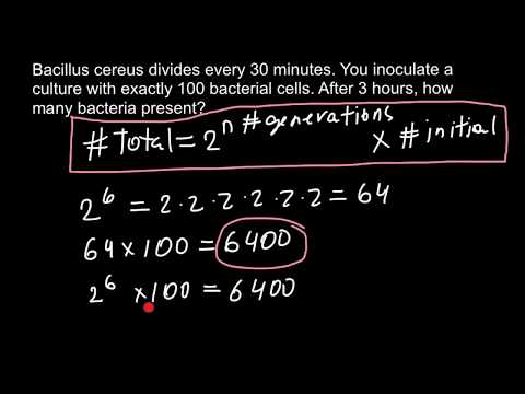 How to calculate exponential growth of bacteria