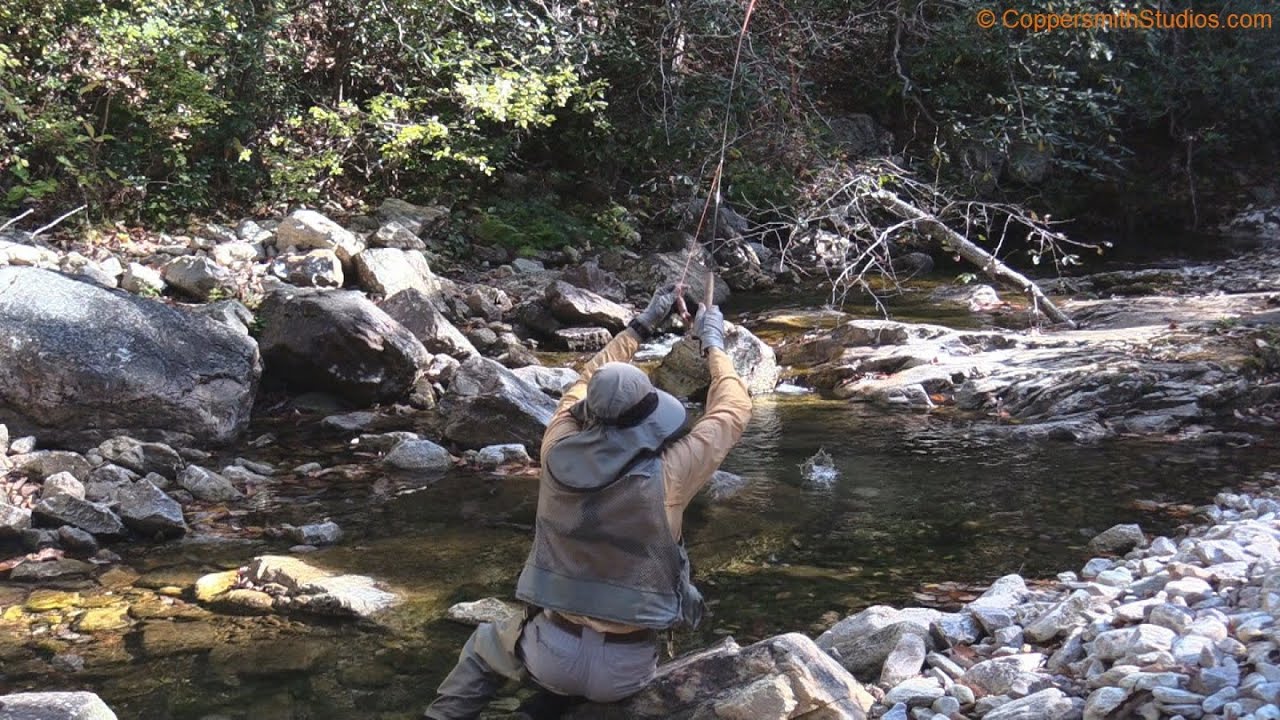 Fishing the St. Mary River in Virginia YouTube