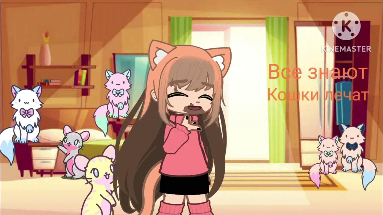 кошечки хорошие) - YouTube