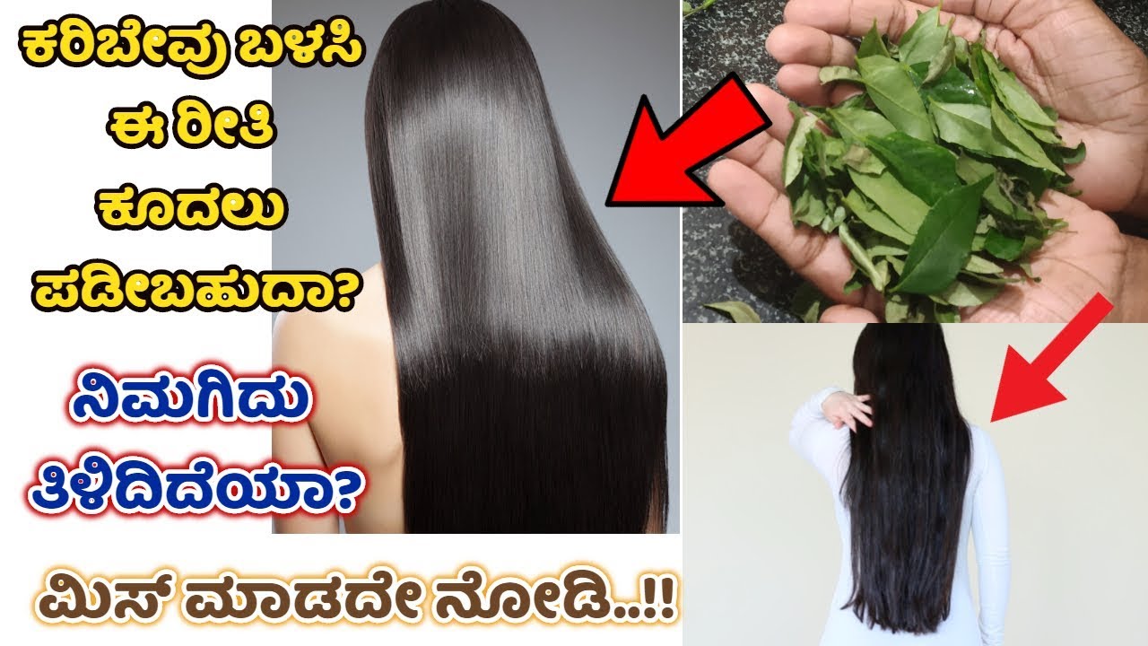 Hair Care Tips ಕದಲಗ ನಸರಗಕ ಸದರಯ ತರಲ ವಳಯದಲ  Kannada News Today