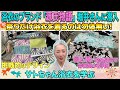 一般客は入れない🈲浴衣問屋に潜入❗️圧巻の景色😵フロアに広がる浴衣の山にあ然❗️人気の「源氏物語」ブランドの最新浴衣たくさ～んお見せします👘サトちゃん大推薦の兵児帯も紹介✨【着物・サト流#113】