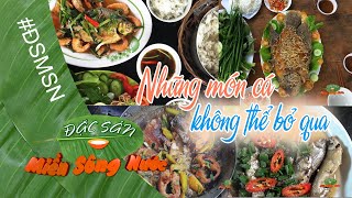 ĐSMSN_Những món cá không thể bỏ qua khi về miền Tây \/ Đặc sản miền sông nước