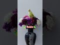 🦜 Robin 🦜 #haql #tabuk#saudiarabia 🇸🇦🇸🇦🇸🇦